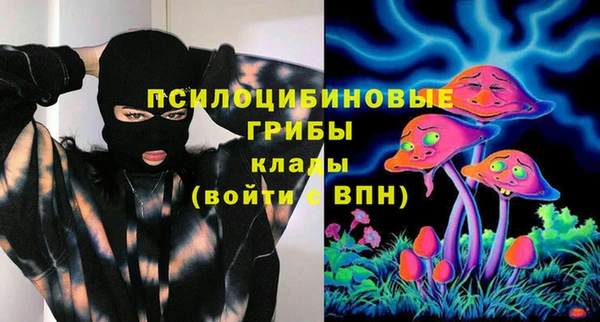 mdpv Верхний Тагил