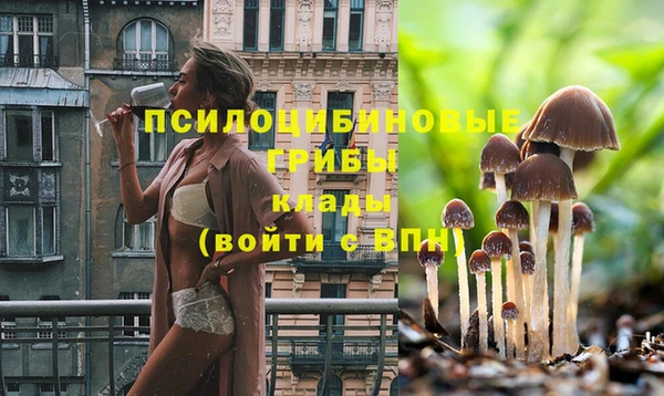 mdpv Верхний Тагил