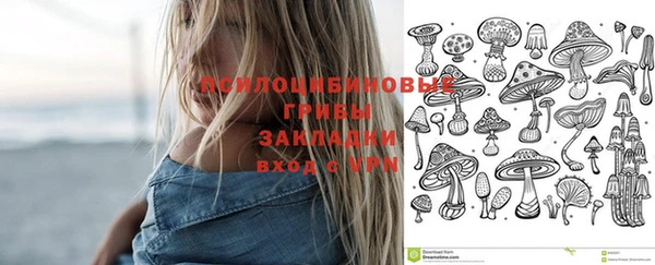 mdpv Верхний Тагил