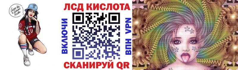 Купить где  Андреаполь  Марки N-bome 1,8мг 